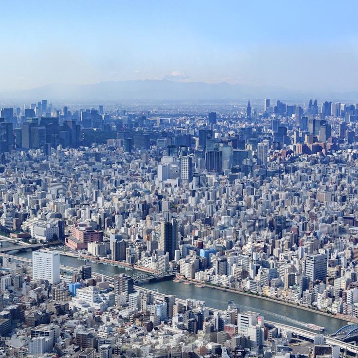 Sophie Martin - Expat family life guide in France